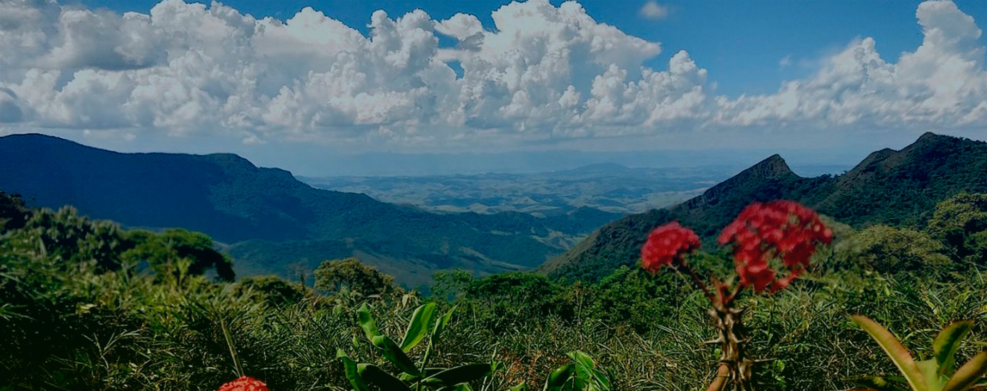 Serra da Bocaina